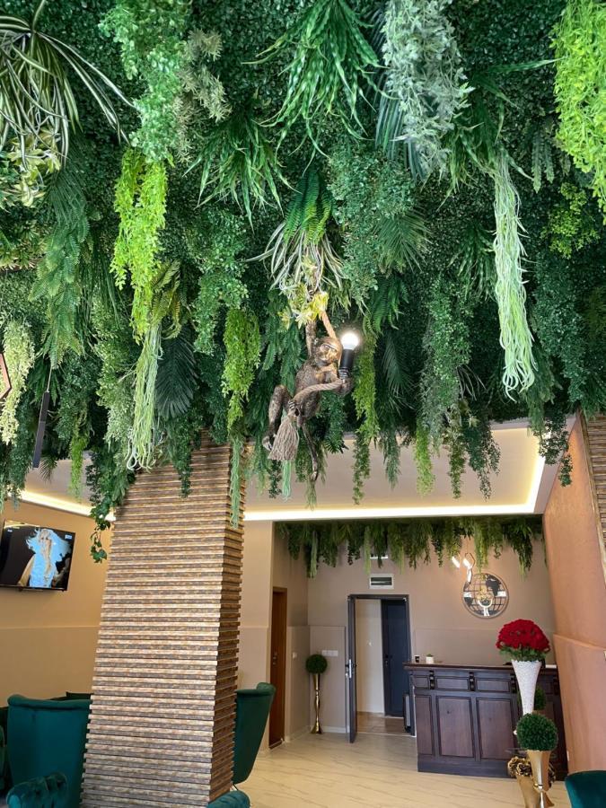 Complex Nero Aparthotel Pamporovo Kültér fotó