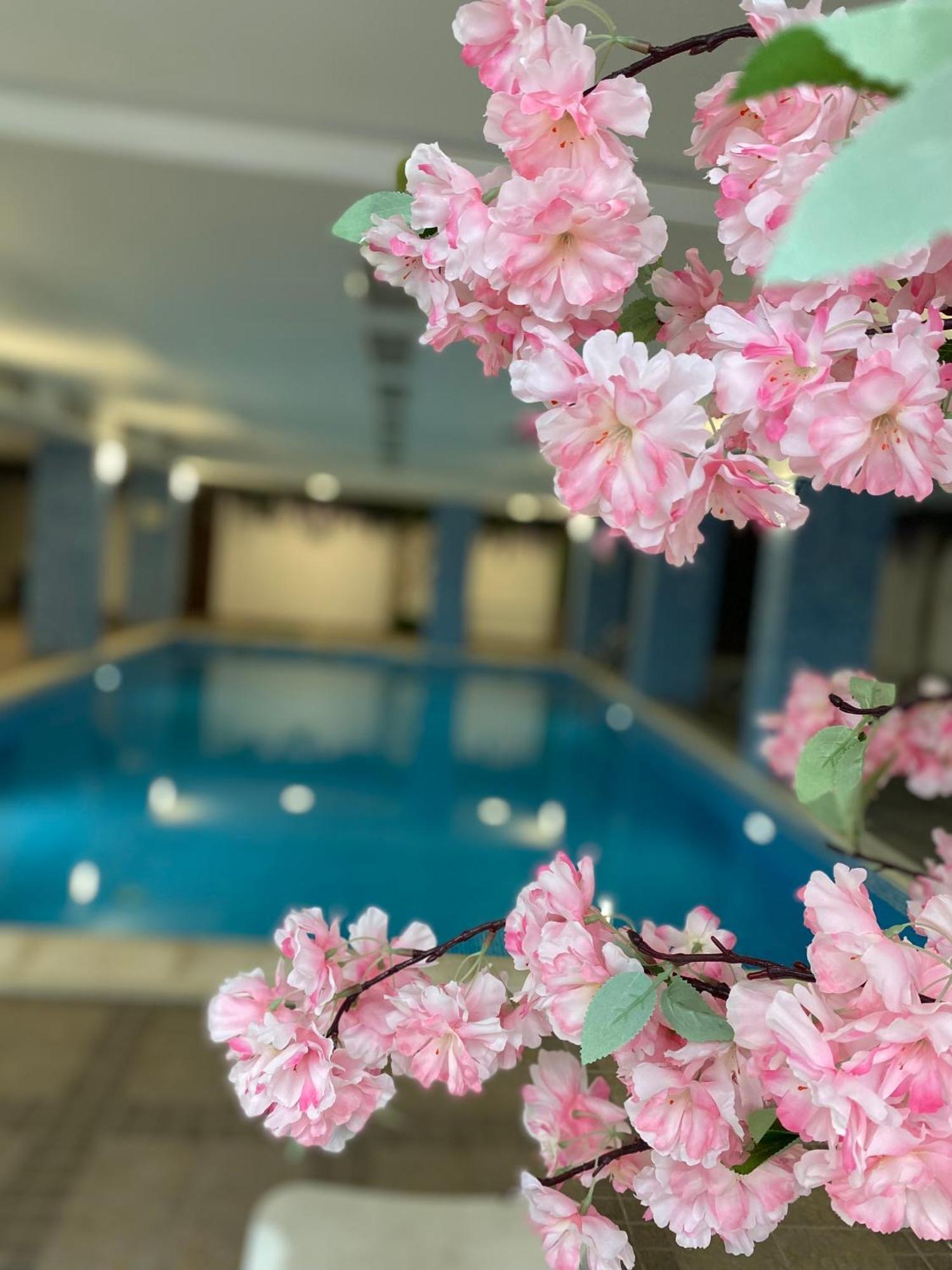 Complex Nero Aparthotel Pamporovo Kültér fotó
